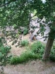 2019-07-27 - 12-05-54 - fränkische schweiz